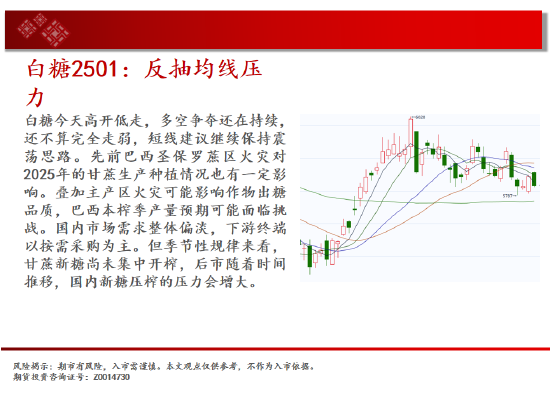 中天期货:生猪底部大震荡 橡胶站上18000-第15张图片-黑龙江新闻八