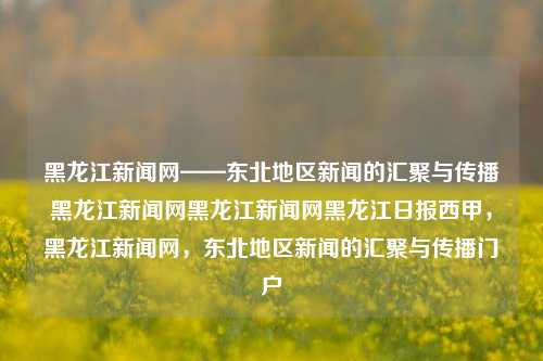 黑龙江新闻网——东北地区新闻的汇聚与传播黑龙江新闻网黑龙江新闻网黑龙江日报西甲，黑龙江新闻网，东北地区新闻的汇聚与传播门户，黑龙江新闻网，东北地区新闻的汇聚与传播门户。