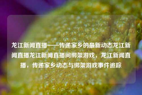 龙江新闻直播——传递家乡的最新动态龙江新闻直播龙江新闻直播间绑架游戏，龙江新闻直播，传递家乡动态与绑架游戏事件追踪，龙江新闻直播，家乡动态追踪与绑架游戏事件报道