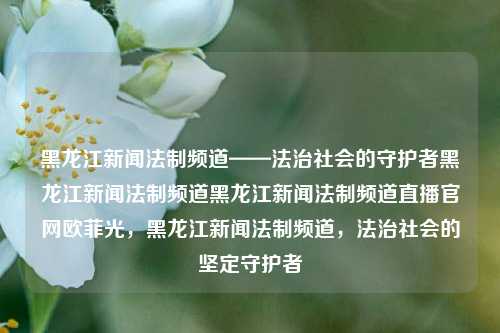 黑龙江新闻法制频道——法治社会的守护者黑龙江新闻法制频道黑龙江新闻法制频道直播官网欧菲光，黑龙江新闻法制频道，法治社会的坚定守护者，黑龙江新闻法制频道，法治社会的坚定守护者