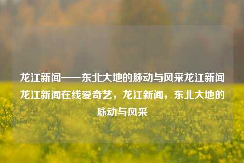 龙江新闻——东北大地的脉动与风采龙江新闻龙江新闻在线爱奇艺，龙江新闻，东北大地的脉动与风采，龙江新闻，东北大地的脉动与风采的独特展现