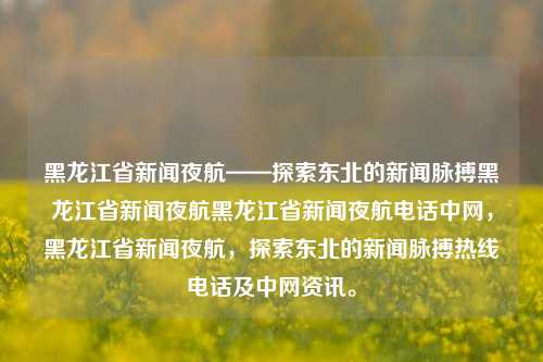 黑龙江省新闻夜航——探索东北的新闻脉搏黑龙江省新闻夜航黑龙江省新闻夜航电话中网，黑龙江省新闻夜航，探索东北的新闻脉搏热线电话及中网资讯。，黑龙江省新闻夜航，探寻东北新闻脉搏，传递中网资讯，符合您的要求。