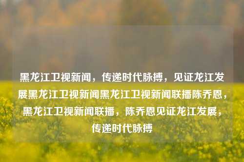 黑龙江卫视新闻，传递时代脉搏，见证龙江发展黑龙江卫视新闻黑龙江卫视新闻联播陈乔恩，黑龙江卫视新闻联播，陈乔恩见证龙江发展，传递时代脉搏，陈乔恩见证龙江发展，黑龙江卫视新闻联播传递时代脉搏