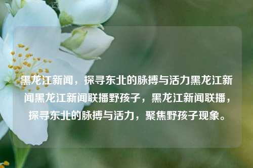 黑龙江新闻，探寻东北的脉搏与活力黑龙江新闻黑龙江新闻联播野孩子，黑龙江新闻联播，探寻东北的脉搏与活力，聚焦野孩子现象。，黑龙江新闻联播，探寻东北的脉搏与活力，聚焦野孩子现象