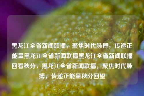 黑龙江全省新闻联播，聚焦时代脉搏，传递正能量黑龙江全省新闻联播黑龙江全省新闻联播回看秋分，黑龙江全省新闻联播，聚焦时代脉搏，传递正能量秋分回望，黑龙江全省新闻联播，秋分回望，传递正能量