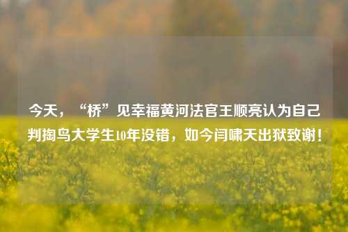 今天，“桥”见幸福黄河法官王顺亮认为自己判掏鸟大学生10年没错，如今闫啸天出狱致谢！