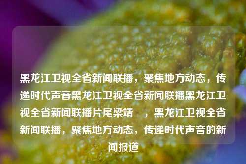 黑龙江卫视全省新闻联播，聚焦地方动态，传递时代声音黑龙江卫视全省新闻联播黑龙江卫视全省新闻联播片尾梁靖崑，黑龙江卫视全省新闻联播，聚焦地方动态，传递时代声音的新闻报道，黑龙江卫视，聚焦地方动态，传递时代声音的新闻联播