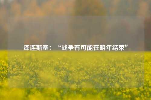 泽连斯基：“战争有可能在明年结束”