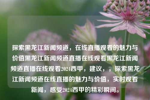 探索黑龙江新闻频道，在线直播观看的魅力与价值黑龙江新闻频道直播在线观看黑龙江新闻频道直播在线观看2024西甲，建议，，探索黑龙江新闻频道在线直播的魅力与价值，实时观看新闻，感受2024西甲的精彩瞬间。，黑龙江新闻频道在线直播，新闻魅力与西甲精彩瞬间共赏