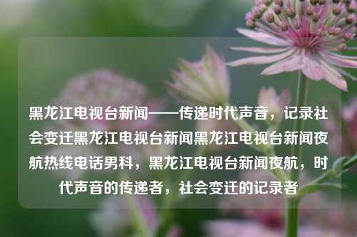 黑龙江电视台新闻——传递时代声音，记录社会变迁黑龙江电视台新闻黑龙江电视台新闻夜航热线电话男科，黑龙江电视台新闻夜航，时代声音的传递者，社会变迁的记录者，黑龙江电视台新闻夜航，时代声音的传递与社会变迁的记录