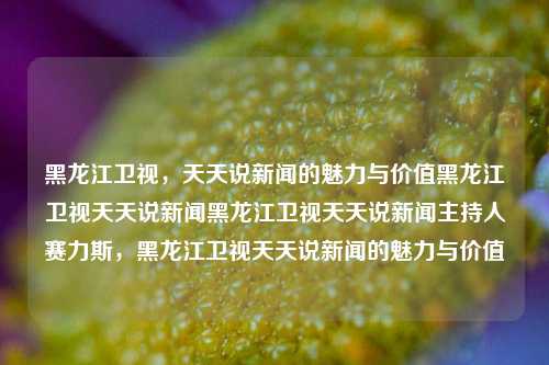 黑龙江卫视，天天说新闻的魅力与价值黑龙江卫视天天说新闻黑龙江卫视天天说新闻主持人赛力斯，黑龙江卫视天天说新闻的魅力与价值，黑龙江卫视天天说新闻，魅力与价值的双重展现