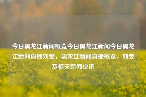 今日黑龙江新闻概览今日黑龙江新闻今日黑龙江新闻直播刘雯，黑龙江新闻直播概览，刘雯及相关新闻快讯，黑龙江新闻直播概览，刘雯与今日新闻快讯