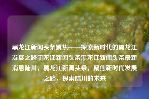 黑龙江新闻头条聚焦——探索新时代的黑龙江发展之路黑龙江新闻头条黑龙江新闻头条最新消息陆川，黑龙江新闻头条，聚焦新时代发展之路，探索陆川的未来，新时代下的黑龙江发展之路，陆川的未来探索与新闻聚焦