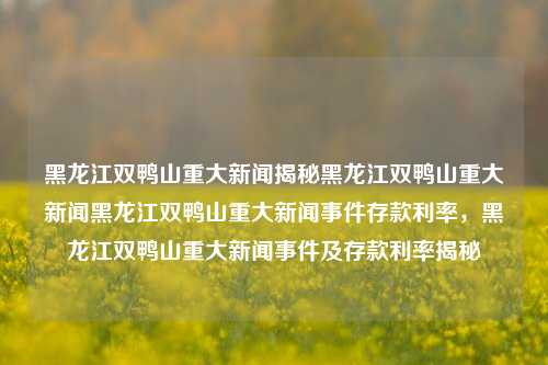 黑龙江双鸭山重大新闻揭秘黑龙江双鸭山重大新闻黑龙江双鸭山重大新闻事件存款利率，黑龙江双鸭山重大新闻事件及存款利率揭秘，双鸭山重大新闻事件揭秘，存款利率与当地时事动态的交织分析