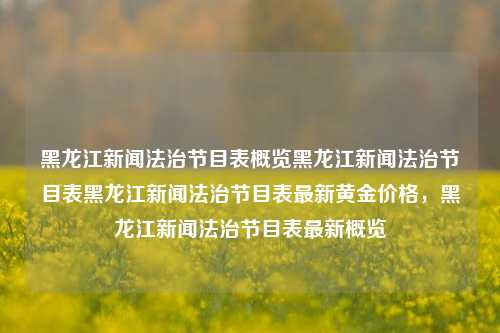 黑龙江新闻法治节目表概览黑龙江新闻法治节目表黑龙江新闻法治节目表最新黄金价格，黑龙江新闻法治节目表最新概览，黑龙江新闻法治节目表及黄金价格最新概览