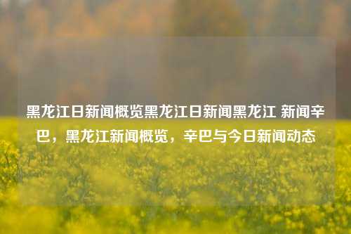 黑龙江日新闻概览黑龙江日新闻黑龙江 新闻辛巴，黑龙江新闻概览，辛巴与今日新闻动态，黑龙江新闻概览，辛巴动态与今日新闻动态