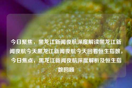 今日聚焦，黑龙江新闻夜航深度解读黑龙江新闻夜航今天黑龙江新闻夜航今天回看恒生指数，今日焦点，黑龙江新闻夜航深度解析及恒生指数回顾，黑龙江新闻夜航，深度解析今日焦点及恒生指数回顾