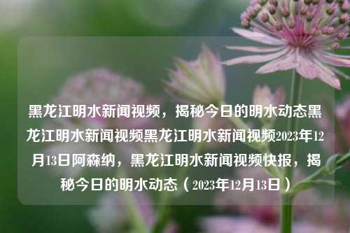 黑龙江明水新闻视频，揭秘今日的明水动态黑龙江明水新闻视频黑龙江明水新闻视频2023年12月13日阿森纳，黑龙江明水新闻视频快报，揭秘今日的明水动态（2023年12月13日），揭秘今日的明水动态，黑龙江明水新闻视频快报（2023年12月13日）