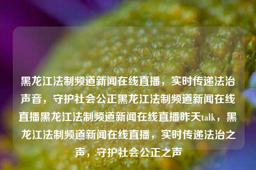 黑龙江法制频道新闻在线直播，实时传递法治声音，守护社会公正黑龙江法制频道新闻在线直播黑龙江法制频道新闻在线直播昨天talk，黑龙江法制频道新闻在线直播，实时传递法治之声，守护社会公正之声，黑龙江法制频道新闻实时在线直播，传递法治之声，守护社会公正之盾