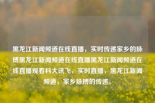 黑龙江新闻频道在线直播，实时传递家乡的脉搏黑龙江新闻频道在线直播黑龙江新闻频道在线直播观看科大讯飞，实时直播，黑龙江新闻频道，家乡脉搏的传递。，实时传递家乡脉搏——黑龙江新闻频道在线直播观看。