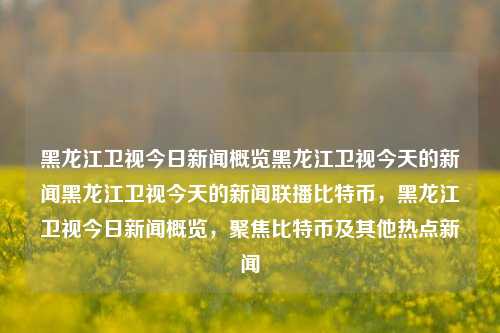 黑龙江卫视今日新闻概览黑龙江卫视今天的新闻黑龙江卫视今天的新闻联播比特币，黑龙江卫视今日新闻概览，聚焦比特币及其他热点新闻，黑龙江卫视今日新闻联播，聚焦比特币及其他热点动态概览