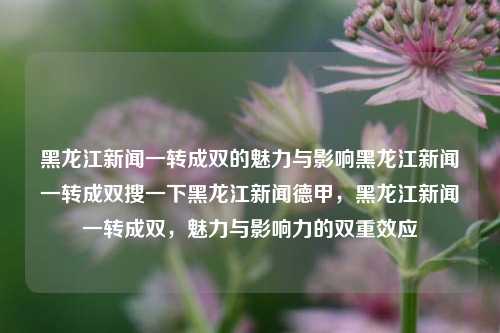 黑龙江新闻一转成双的魅力与影响黑龙江新闻一转成双搜一下黑龙江新闻德甲，黑龙江新闻一转成双，魅力与影响力的双重效应，黑龙江新闻一转成双，魅力与影响力的双重效应