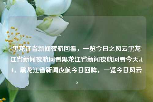 黑龙江省新闻夜航回看，一览今日之风云黑龙江省新闻夜航回看黑龙江省新闻夜航回看今天s14，黑龙江省新闻夜航今日回眸，一览今日风云。，黑龙江省新闻夜航今日回眸，一览今日风云，符合您的要求。