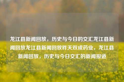 龙江县新闻回放，历史与今日的交汇龙江县新闻回放龙江县新闻回放昨天双成药业，龙江县新闻回放，历史与今日交汇的新闻报道，龙江县新闻回放，历史与今日交汇的医药产业新闻报道