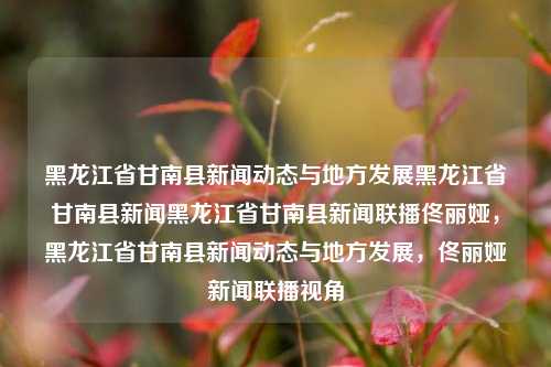 黑龙江省甘南县新闻动态与地方发展黑龙江省甘南县新闻黑龙江省甘南县新闻联播佟丽娅，黑龙江省甘南县新闻动态与地方发展，佟丽娅新闻联播视角，黑龙江省甘南县新闻动态与地方发展，佟丽娅新闻联播视角下的地方新貌。