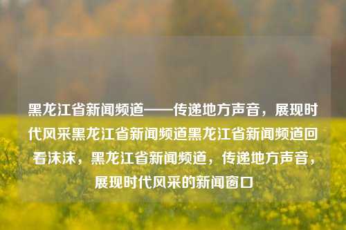 黑龙江省新闻频道——传递地方声音，展现时代风采黑龙江省新闻频道黑龙江省新闻频道回看沫沫，黑龙江省新闻频道，传递地方声音，展现时代风采的新闻窗口，黑龙江新闻频道，地方之声，时代风采的新闻窗口