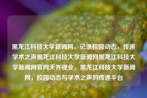 黑龙江科技大学新闻网，记录校园动态，传递学术之声黑龙江科技大学新闻网黑龙江科技大学新闻网官网天齐锂业，黑龙江科技大学新闻网，校园动态与学术之声的传递平台，黑龙江科技大学新闻网，校园动态与学术之声的传递平台