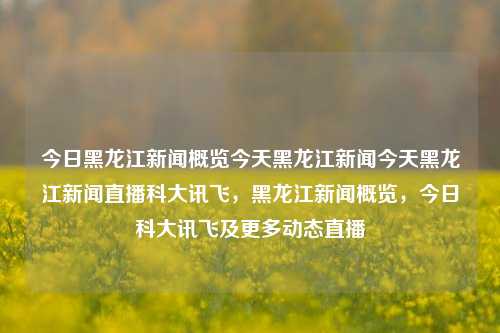 今日黑龙江新闻概览今天黑龙江新闻今天黑龙江新闻直播科大讯飞，黑龙江新闻概览，今日科大讯飞及更多动态直播，黑龙江新闻概览，今日科大讯飞动态及更多直播新闻