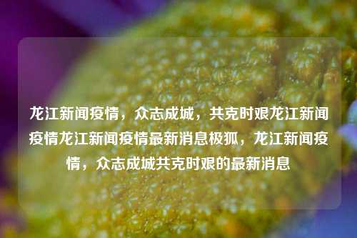 龙江新闻疫情，众志成城，共克时艰龙江新闻疫情龙江新闻疫情最新消息极狐，龙江新闻疫情，众志成城共克时艰的最新消息，龙江疫情众志成城，共克时艰——最新消息汇总