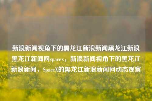 新浪新闻视角下的黑龙江新浪新闻黑龙江新浪黑龙江新闻网spacex，新浪新闻视角下的黑龙江新浪新闻，SpaceX的黑龙江新浪新闻网动态观察，新浪新闻视角下的黑龙江与SpaceX的动态观察