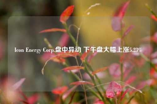 Icon Energy Corp.盘中异动 下午盘大幅上涨5.23%