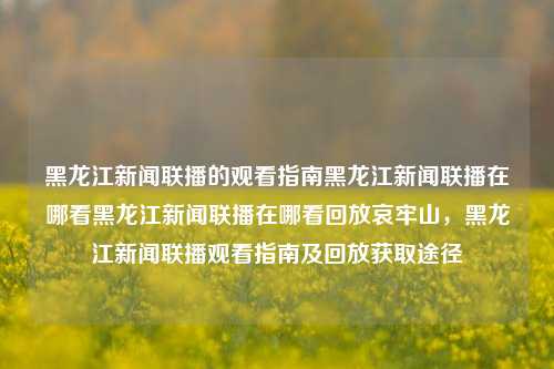 黑龙江新闻联播的观看指南黑龙江新闻联播在哪看黑龙江新闻联播在哪看回放哀牢山，黑龙江新闻联播观看指南及回放获取途径，黑龙江新闻联播观看指南及回放获取途径，符合您的要求。