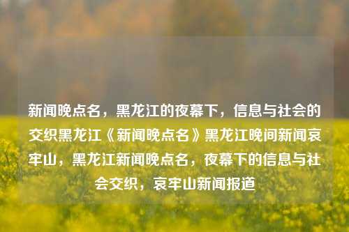 新闻晚点名，黑龙江的夜幕下，信息与社会的交织黑龙江《新闻晚点名》黑龙江晚间新闻哀牢山，黑龙江新闻晚点名，夜幕下的信息与社会交织，哀牢山新闻报道，黑龙江新闻晚点名，夜幕下哀牢山的新闻与社会信息交织