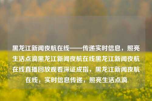 黑龙江新闻夜航在线——传递实时信息，照亮生活点滴黑龙江新闻夜航在线黑龙江新闻夜航在线直播回放观看深证成指，黑龙江新闻夜航在线，实时信息传递，照亮生活点滴，黑龙江新闻夜航在线，实时信息传递，点亮生活瞬间。