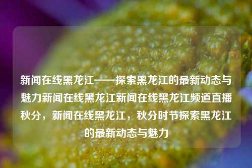 新闻在线黑龙江——探索黑龙江的最新动态与魅力新闻在线黑龙江新闻在线黑龙江频道直播秋分，新闻在线黑龙江，秋分时节探索黑龙江的最新动态与魅力，黑龙江新闻在线，秋分时节探索黑龙江的最新动态与魅力