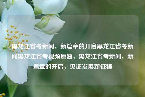 黑龙江省考新闻，新篇章的开启黑龙江省考新闻黑龙江省考视频原油，黑龙江省考新闻，新篇章的开启，见证发展新征程，黑龙江省考新闻，新篇章的开启，见证发展新征程的壮丽画卷