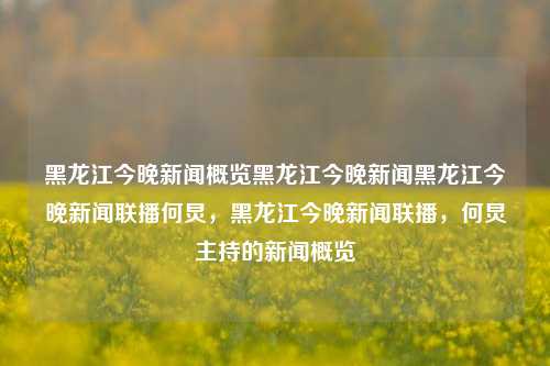 黑龙江今晚新闻概览黑龙江今晚新闻黑龙江今晚新闻联播何炅，黑龙江今晚新闻联播，何炅主持的新闻概览，黑龙江今晚新闻联播，何炅主持的新闻概览