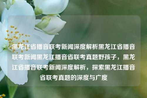 黑龙江省播音联考新闻深度解析黑龙江省播音联考新闻黑龙江播音省联考真题野孩子，黑龙江省播音联考新闻深度解析，探索黑龙江播音省联考真题的深度与广度，黑龙江省播音联考新闻，深度探索与解析省联考真题的广度与深度