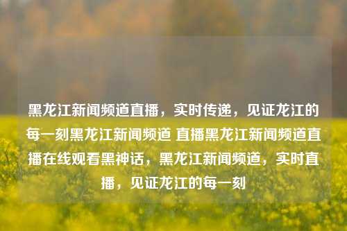 黑龙江新闻频道直播，实时传递，见证龙江的每一刻黑龙江新闻频道 直播黑龙江新闻频道直播在线观看黑神话，黑龙江新闻频道，实时直播，见证龙江的每一刻，黑龙江新闻频道，实时直播，见证龙江的每一刻