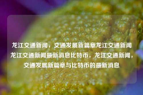 龙江交通新闻，交通发展新篇章龙江交通新闻龙江交通新闻最新消息比特币，龙江交通新闻，交通发展新篇章与比特币的最新消息，龙江交通新闻与比特币的最新发展篇章