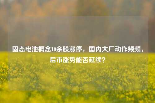 固态电池概念10余股涨停，国内大厂动作频频，后市涨势能否延续？