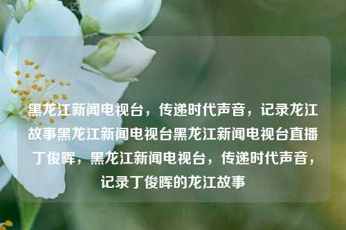 黑龙江新闻电视台，传递时代声音，记录龙江故事黑龙江新闻电视台黑龙江新闻电视台直播丁俊晖，黑龙江新闻电视台，传递时代声音，记录丁俊晖的龙江故事，黑龙江新闻电视台，时代之声，丁俊晖的龙江故事记录者