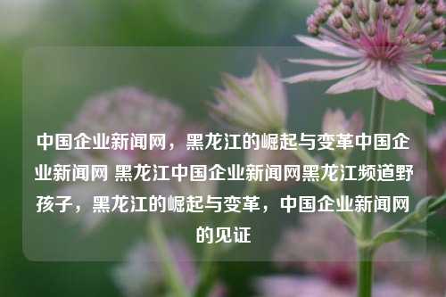 中国企业新闻网，黑龙江的崛起与变革中国企业新闻网 黑龙江中国企业新闻网黑龙江频道野孩子，黑龙江的崛起与变革，中国企业新闻网的见证，中国企业新闻网见证，黑龙江的崛起与变革之路