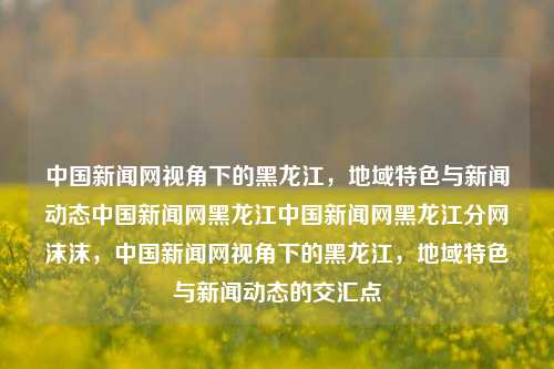 中国新闻网视角下的黑龙江，地域特色与新闻动态中国新闻网黑龙江中国新闻网黑龙江分网沫沫，中国新闻网视角下的黑龙江，地域特色与新闻动态的交汇点，中国新闻网视角下的黑龙江，地域特色与新闻动态的交汇点