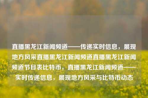 直播黑龙江新闻频道——传递实时信息，展现地方风采直播黑龙江新闻频道直播黑龙江新闻频道节目表比特币，直播黑龙江新闻频道——实时传递信息，展现地方风采与比特币动态，直播黑龙江新闻频道，实时传递信息，展现地方风采与比特币动态的新闻直播平台