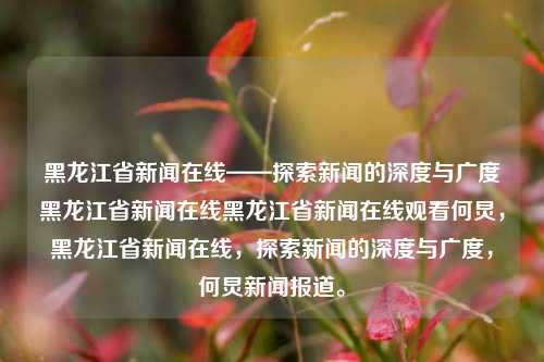 黑龙江省新闻在线——探索新闻的深度与广度黑龙江省新闻在线黑龙江省新闻在线观看何炅，黑龙江省新闻在线，探索新闻的深度与广度，何炅新闻报道。，黑龙江省新闻在线，探索新闻深度与广度，何炅新闻报道引领关注焦点。